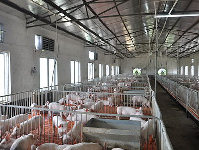 畜牧养殖场降温工厂案例